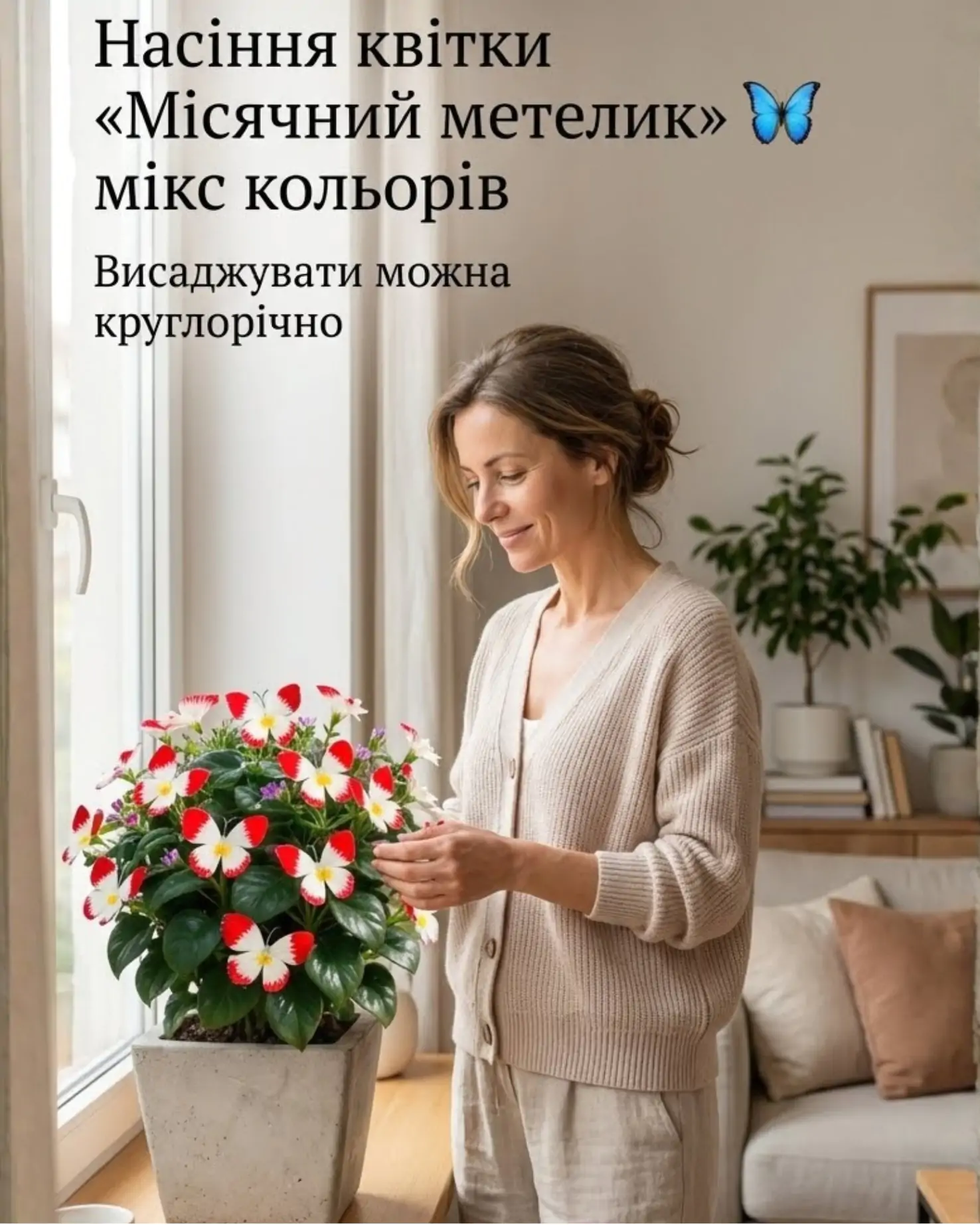 Насіння квітки «Місячний метелик» 